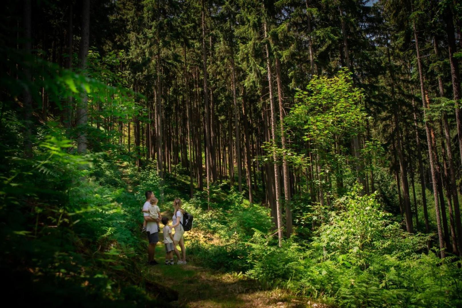 Hotel Thermana Park Lasko**** Superior Экстерьер фото